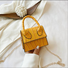 Load image into Gallery viewer, Our Fall mini bags
