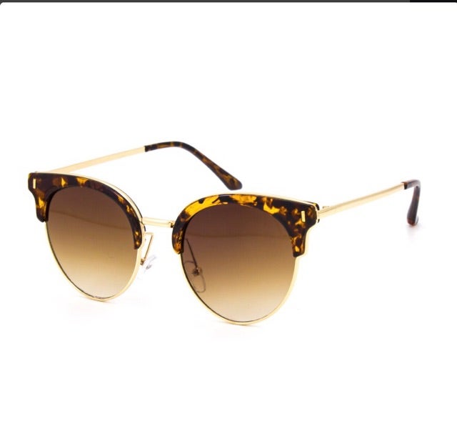 Cat sunglasses